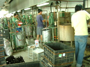 深圳市平湖海利豐塑膠制品廠 專注塑料制品，鑄就品質未來