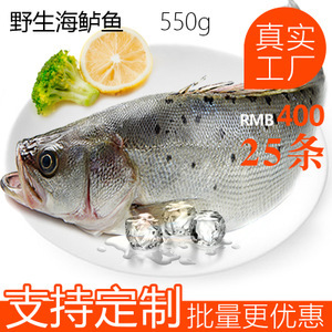 冷凍鱸魚市場(chǎng)分析 價(jià)格、圖片、批發(fā)采購(gòu)及供應(yīng)商渠道