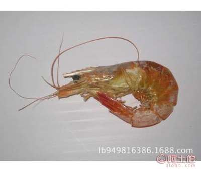 魯濱海產(chǎn)工廠直營(yíng) 產(chǎn)地批發(fā)優(yōu)質(zhì)蝦類干制品