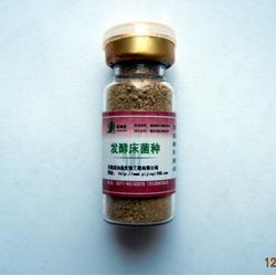 立足中原，輻射全國 鄭州市粗加工水產品批發市場全覽