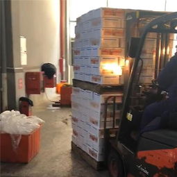 湛江余鮮家水產品批發 一站式供應優質海鮮，從生鯛魚片到冷凍羅非魚